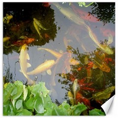 Koi Fish Pond Canvas 12  X 12  by StarvingArtisan