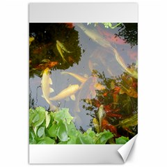 Koi Fish Pond Canvas 20  X 30  by StarvingArtisan