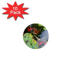 Koi Fish Pond 1  Mini Magnet (10 Pack)  by StarvingArtisan