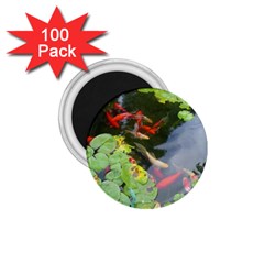 Koi Fish Pond 1 75  Magnets (100 Pack)  by StarvingArtisan