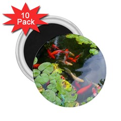 Koi Fish Pond 2 25  Magnets (10 Pack)  by StarvingArtisan