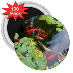 Koi Fish Pond 3  Magnets (100 Pack) by StarvingArtisan