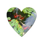 Koi Fish Pond Heart Magnet Front