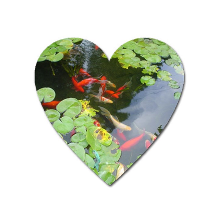 Koi Fish Pond Heart Magnet