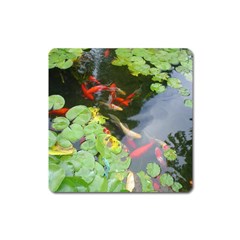 Koi Fish Pond Square Magnet by StarvingArtisan