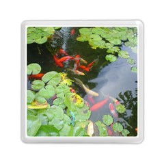 Koi Fish Pond Memory Card Reader (square) by StarvingArtisan