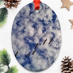 Pelicans In Flight Ornament (oval) by StarvingArtisan