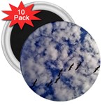 Pelicans In Flight 3  Magnets (10 pack)  Front