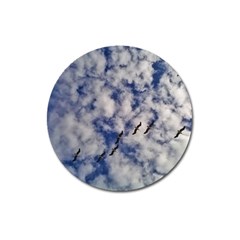 Pelicans In Flight Magnet 3  (round) by StarvingArtisan