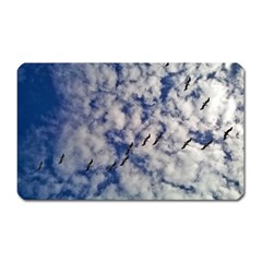 Pelicans In Flight Magnet (rectangular) by StarvingArtisan