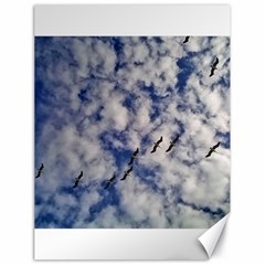 Pelicans In Flight Canvas 18  X 24  by StarvingArtisan