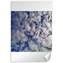 Pelicans In Flight Canvas 20  X 30  by StarvingArtisan