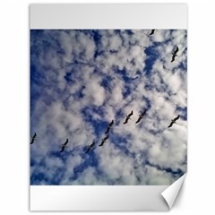 Pelicans In Flight Canvas 36  X 48  by StarvingArtisan