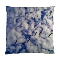 Pelicans In Flight Standard Cushion Case (one Side) by StarvingArtisan