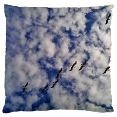 Pelicans In Flight Large Cushion Case (one Side) by StarvingArtisan