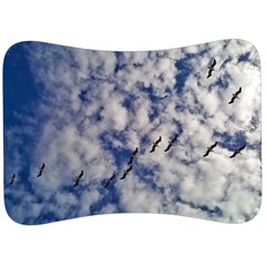 Pelicans In Flight Velour Seat Head Rest Cushion by StarvingArtisan