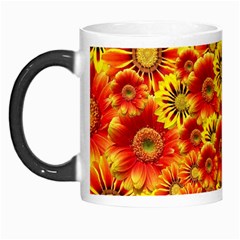 Brilliant Orange And Yellow Daisies Morph Mugs by retrotoomoderndesigns