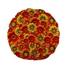 Brilliant Orange And Yellow Daisies Standard 15  Premium Round Cushions by retrotoomoderndesigns