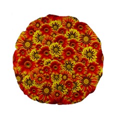 Brilliant Orange And Yellow Daisies Standard 15  Premium Flano Round Cushions by retrotoomoderndesigns