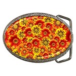 Brilliant Orange And Yellow Daisies Belt Buckles Front