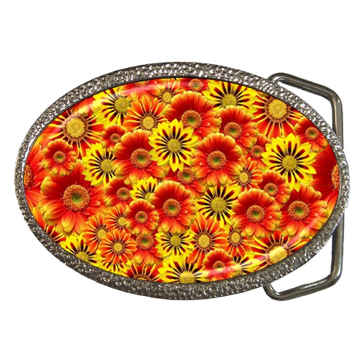 Brilliant Orange And Yellow Daisies Belt Buckles