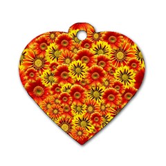 Brilliant Orange And Yellow Daisies Dog Tag Heart (two Sides) by retrotoomoderndesigns