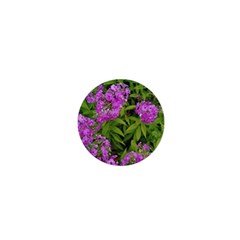 Stratford Garden Phlox 1  Mini Buttons by Riverwoman