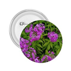 Stratford Garden Phlox 2 25  Buttons by Riverwoman