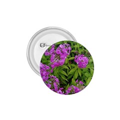 Stratford Garden Phlox 1 75  Buttons by Riverwoman