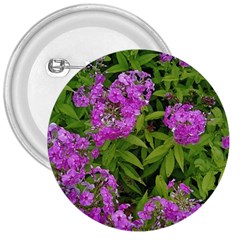 Stratford Garden Phlox 3  Buttons by Riverwoman