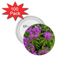 Stratford Garden Phlox 1 75  Buttons (100 Pack)  by Riverwoman