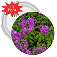 Stratford Garden Phlox 3  Buttons (10 Pack)  by Riverwoman