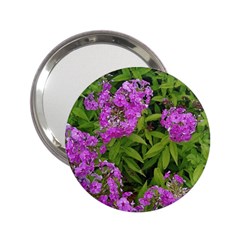 Stratford Garden Phlox 2 25  Handbag Mirrors by Riverwoman