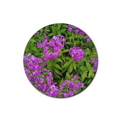 Stratford Garden Phlox Rubber Coaster (round)  by Riverwoman