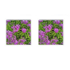 Stratford Garden Phlox Cufflinks (square) by Riverwoman