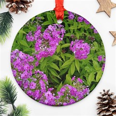 Stratford Garden Phlox Round Ornament (two Sides) by Riverwoman