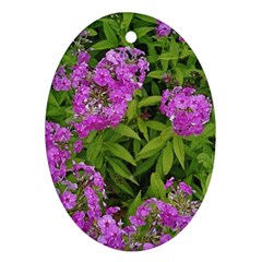 Stratford Garden Phlox Oval Ornament (two Sides) by Riverwoman