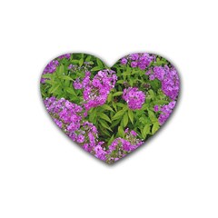 Stratford Garden Phlox Rubber Coaster (heart)  by Riverwoman