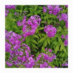 Stratford Garden Phlox Medium Glasses Cloth (2-side) by Riverwoman