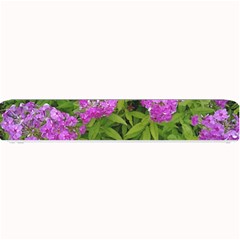 Stratford Garden Phlox Small Bar Mats by Riverwoman