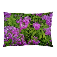 Stratford Garden Phlox Pillow Case by Riverwoman