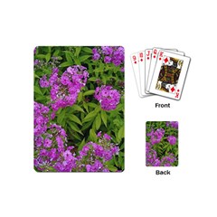 Stratford Garden Phlox Playing Cards (mini) by Riverwoman