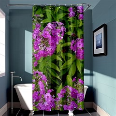 Stratford Garden Phlox Shower Curtain 36  X 72  (stall)  by Riverwoman