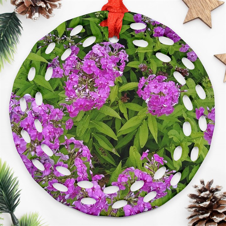 Stratford garden phlox Ornament (Round Filigree)