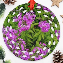 Stratford Garden Phlox Round Filigree Ornament (two Sides) by Riverwoman