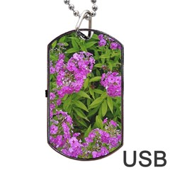 Stratford Garden Phlox Dog Tag Usb Flash (one Side) by Riverwoman