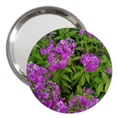 Stratford Garden Phlox 3  Handbag Mirrors by Riverwoman