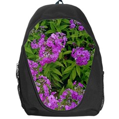 Stratford Garden Phlox Backpack Bag by Riverwoman