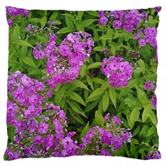 Stratford Garden Phlox Standard Flano Cushion Case (one Side) by Riverwoman