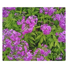 Stratford Garden Phlox Double Sided Flano Blanket (small)  by Riverwoman